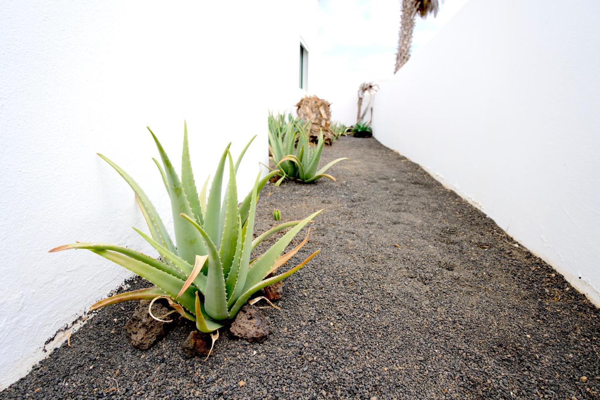 Villas Kalendra, Rofe, Lanzarote Guatiza Buitenkant foto